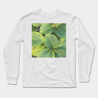 Green Hydrangea Leaves Long Sleeve T-Shirt